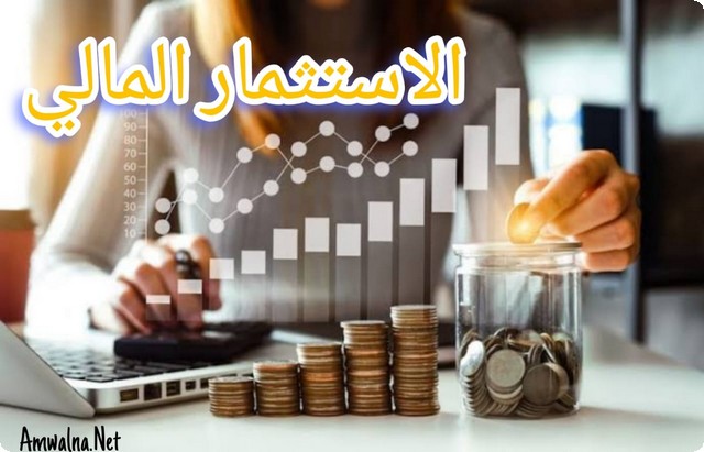 أهداف الاستثمار المالي؛ وأهم 4 أدوات للاستثمار