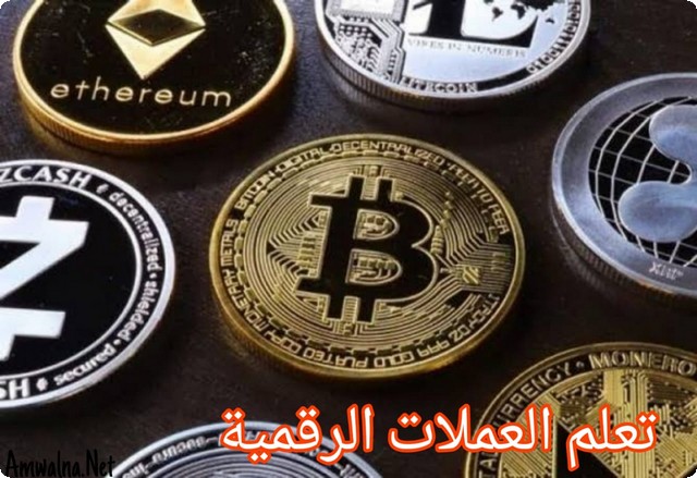 7 خطوات لـ تعلم العملات الرقمية وبداية رحلتك في عالمها