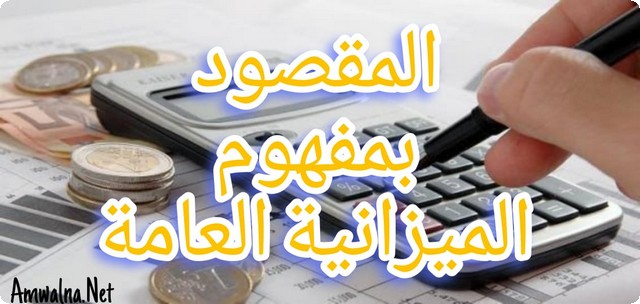 المقصود بمفهوم الميزانية العامة وأهميتها للدولة