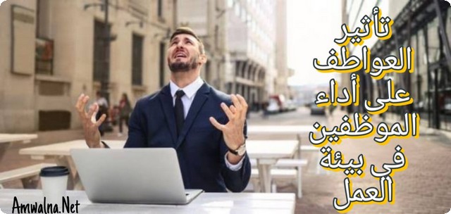 تأثير العواطف الإيجابية والسلبية على أداء الموظفين