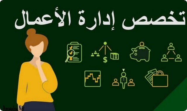 تخصصات إدارة الأعمال