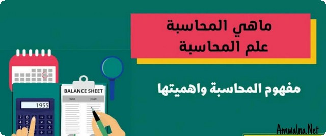 تعريف المحاسبة المالية؛ وأشهر 8 من أنواعها