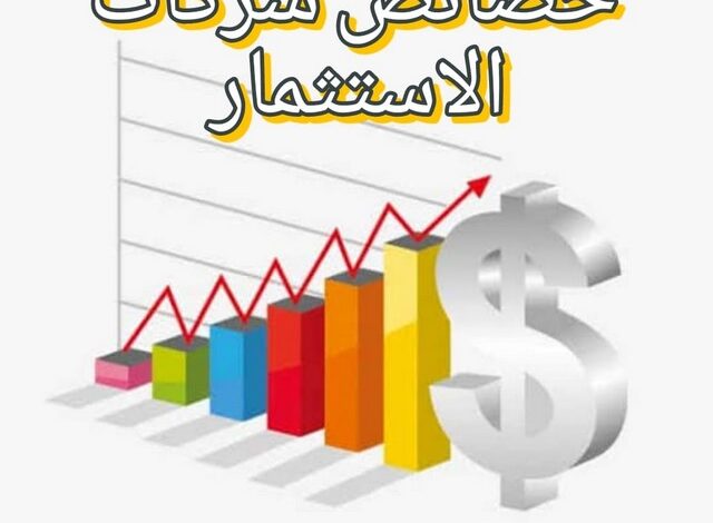 أهم 5 خصائص لـ شركات الاستثمار يجب التعرف عليهم