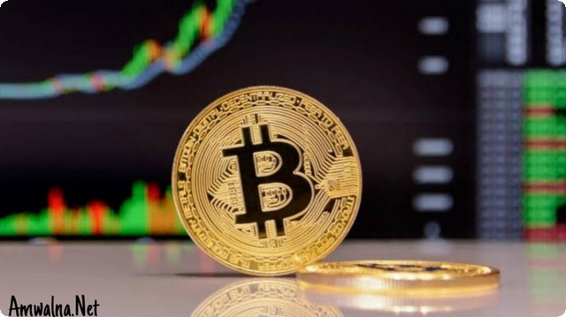 معلومات شاملة عن عملة البيتكوين (BITCOIN)