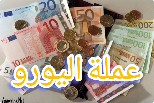 ما هي عملة اليورو (€) ومن يستخدمها ؟