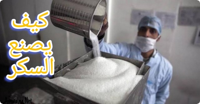 كيف يصنع السكر ؟ ؛ تعرف علي 8 خطوات لصناعة تعبئة السكر