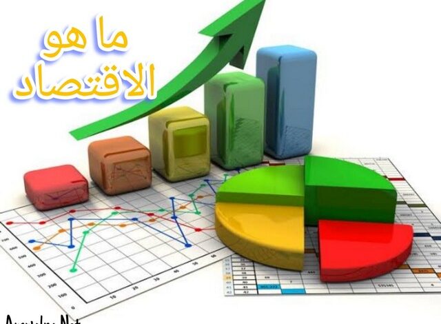 ما هو الاقتصاد وأبرز 3 أنواع للاقتصاد في العالم