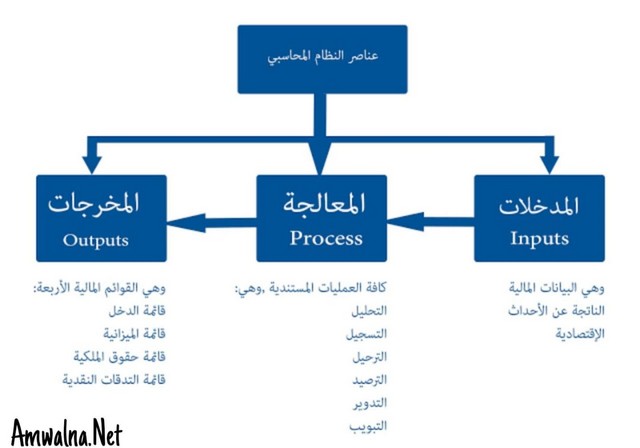 ما هي المحاسبة