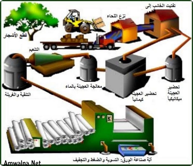 مراحل صناعة الورق