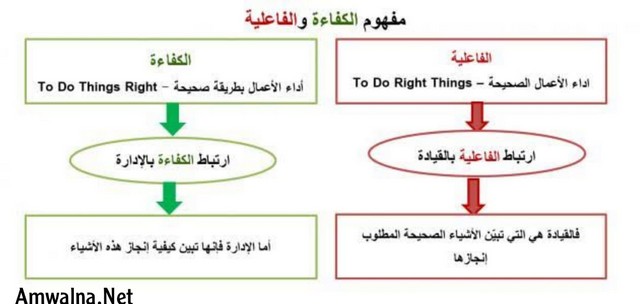 مفهوم الكفاءة