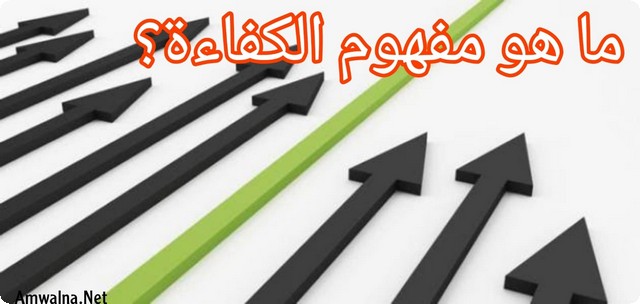 مفهوم الكفاءة؛ وتعريف الكفاءة والفاعلية