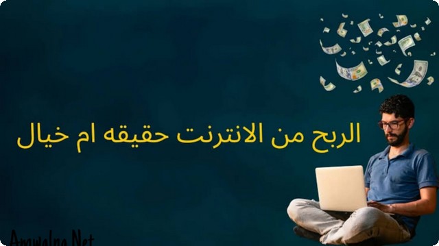 هل الربح من الانترنت حقيقة أم خيال؟