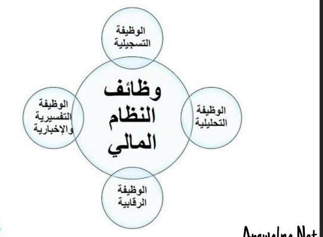 وظائف النظام المالي؛ تعرف علي 7 مهام لتنظيم العمليات المالية