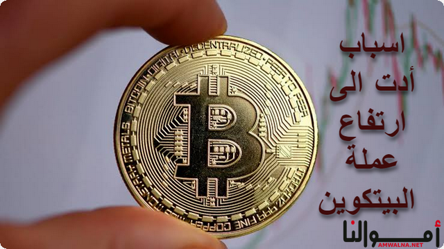 أسباب أدت الى ارتفاع عملة البيتكوين 50% هذا العام