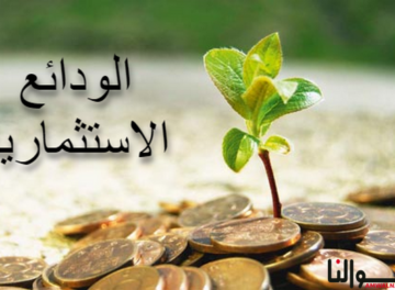 الودائع الاستثمارية