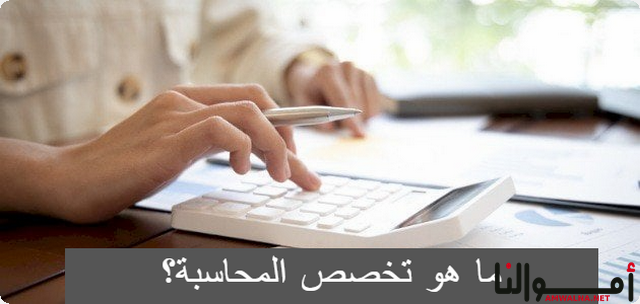 ما هو تخصص المحاسبة؟؛ تعرف علي 4 من التخصصات