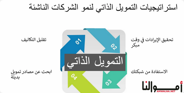 تعريف التمويل الذاتي