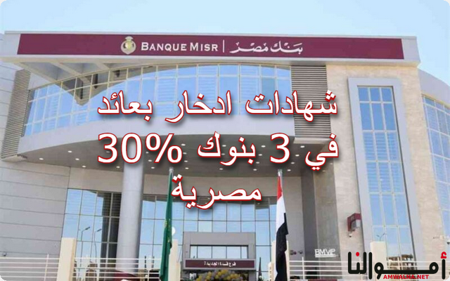 أشهر شهادات ادخار بعائد 30% في 3 بنوك مصرية: تعرف عليهم الآن