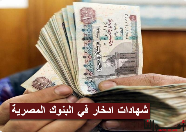 بالترتيب أعلى 4 شهادات ادخار في البنوك المصرية هذا الشهر