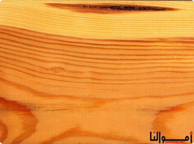 صناعة الأخشاب