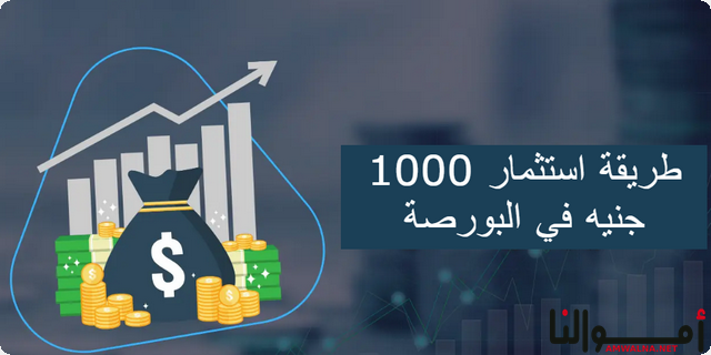 أفضل طريقة استثمار 1000 جنيه في البورصة المصرية