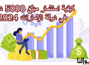 استثمار مبلغ 5000 درهم في دولة الإمارات