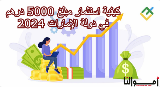 كيفية استثمار مبلغ 5000 درهم في دولة الإمارات 2024