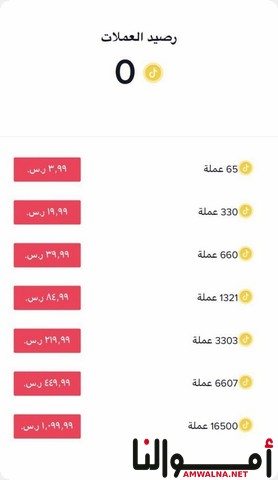 الربح من تيك توك