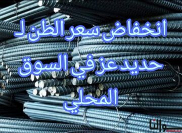 انخفاض سعر الطن لـ حديد عز في السوق