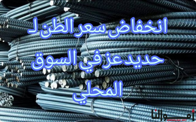 4 أسباب ورا انخفاض سعر حديد عز في السوق المحلي