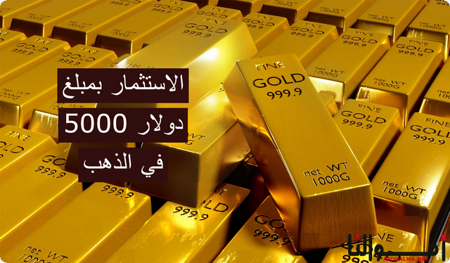 طرق لاستثمار مبلغ 5000 