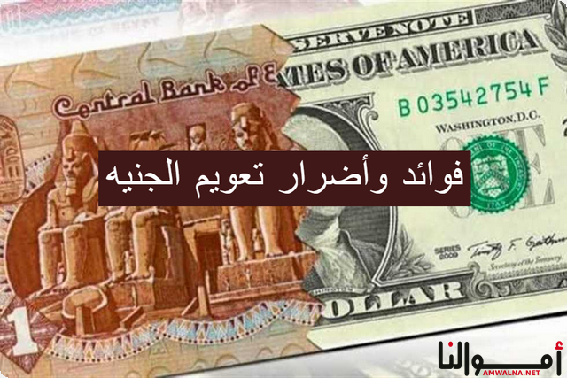 4 فوائد وأضرار تعويم الجنية المصري علي الاقتصاد