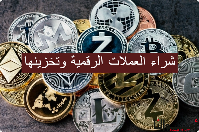 9 نصائح عند شراء العملات الرقمية وتخزينها