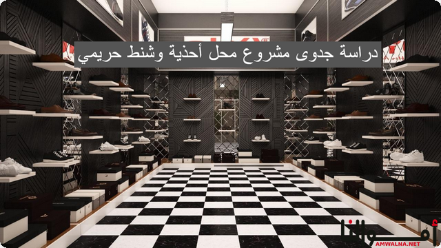 دراسة جدوى محل أحذية وشنط حريمي بالدولار الأمريكي PDF