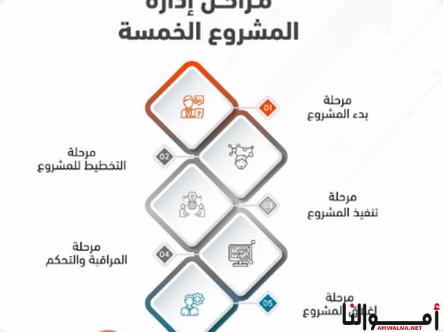 نسبة ربح المشروع الناجح