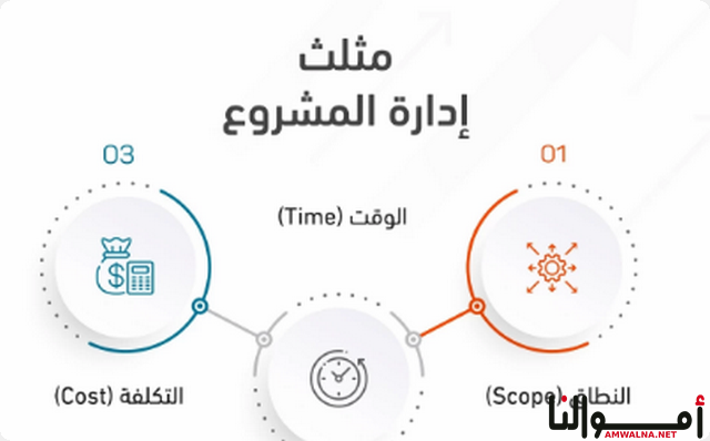 نسبة ربح المشروع الناجح