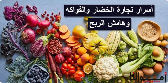 متطلبات البدء في مشروع الخضار والفواكه وهامش الربح