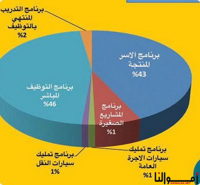 المشاريع التي يدعمها باب رزق جميل