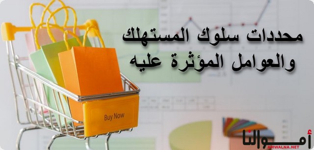 6 من أهم العوامل التي تؤثر على سلوك المستهلك