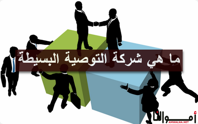 شركة التوصية البسيطة