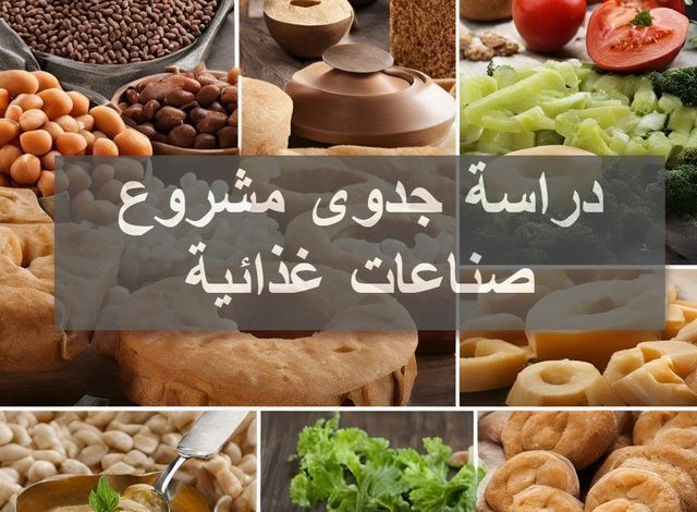 دراسة جدوى مشروع صناعات غذائية PDF واهم عيوب ومميزات المشروع