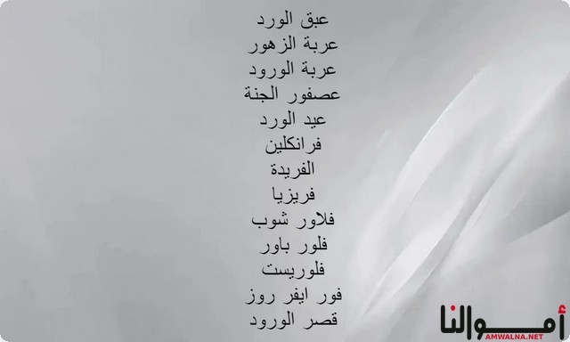 اسماء محلات ورد