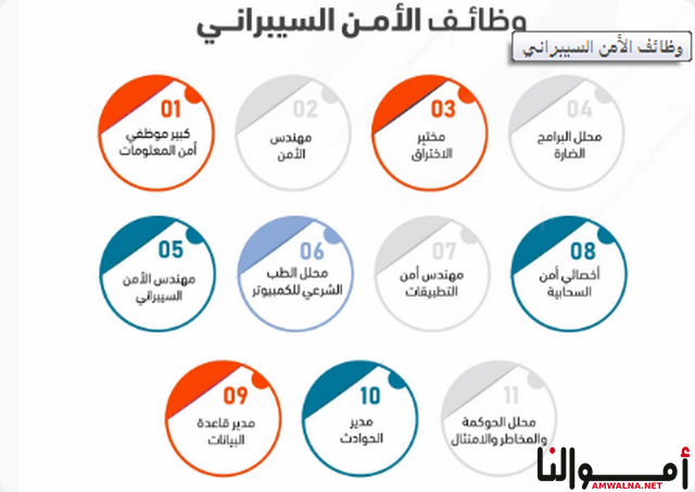 تخصص الأمن السيبراني