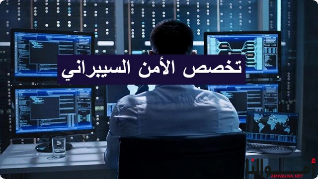 ما هو تخصص الأمن السيبراني (حماية الأنظمة الإلكترونية)