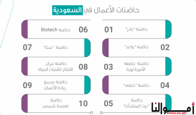 حاضنات الأعمال