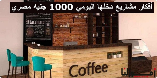 أفكار 3 مشاريع دخلها اليومي 1000 جنيه مصري على الأقل