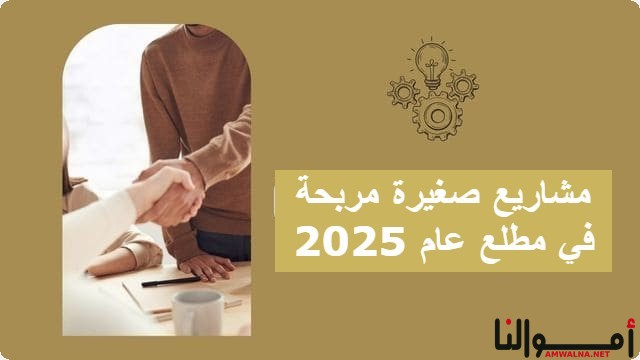 أفضل 9 مشاريع صغيرة مربحة في مطلع عام 2025