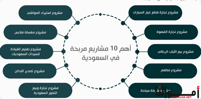 مشاريع كبيرة ناجحة في السعودية