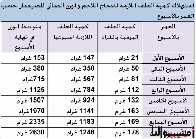 استهلاك العلف للدواجن