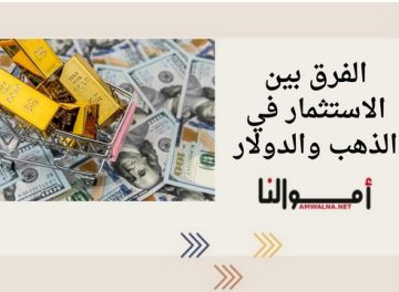 الاستثمار في الذهب والدولار1